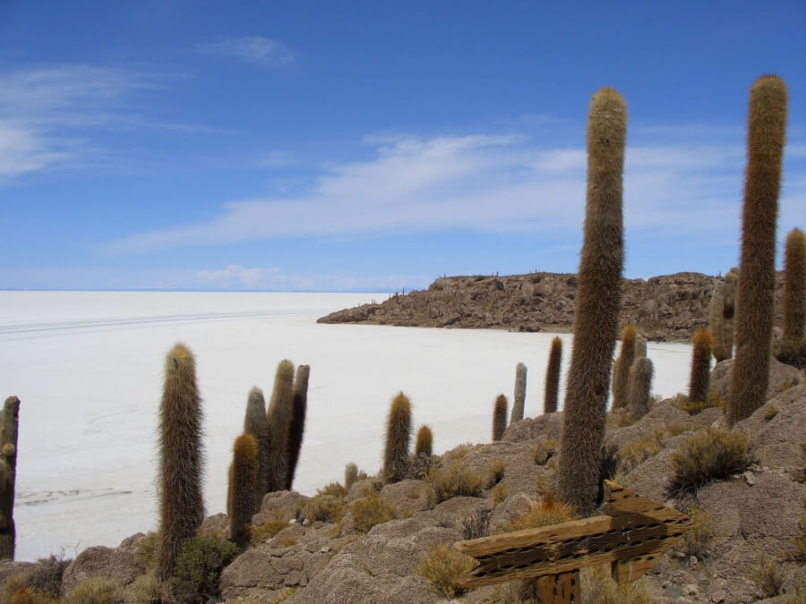соленое озеро в Боливии