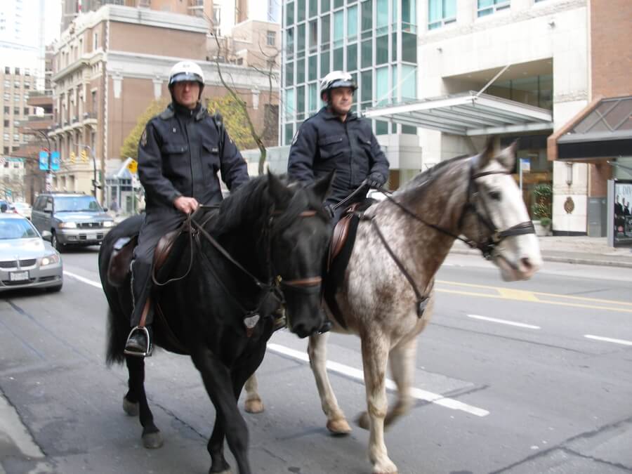 полицейский патруль на лошадях в Канаде
