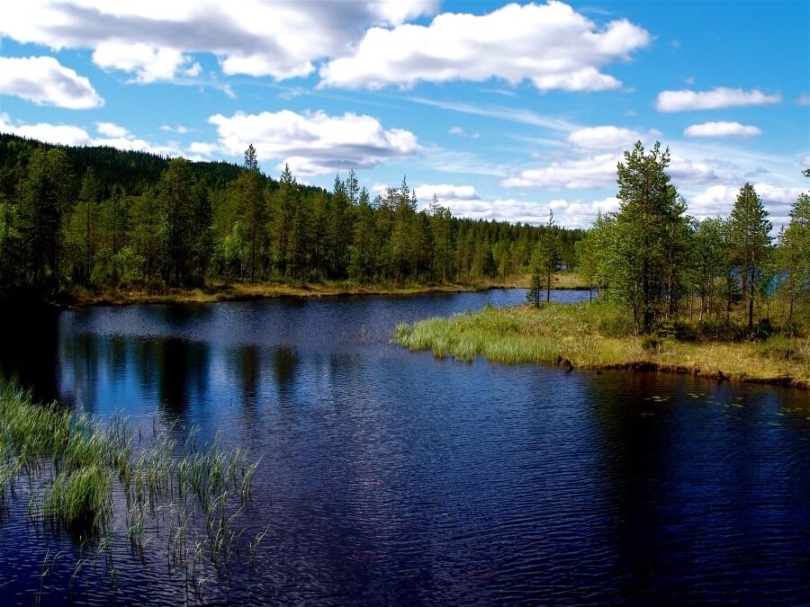природа Финляндии