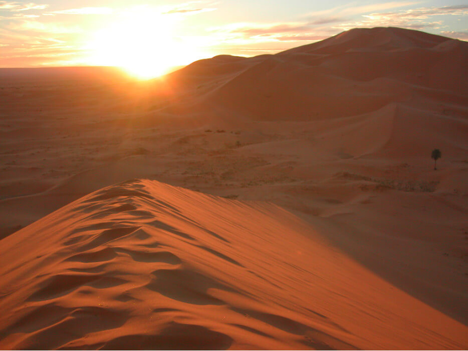 пустыня Сахара в Марокко