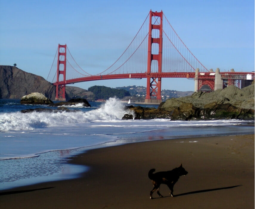 мост Золотые ворота в Сан-Франциско