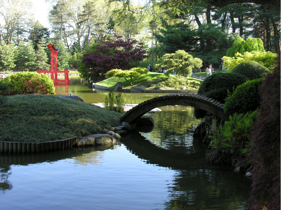 сад в Японии