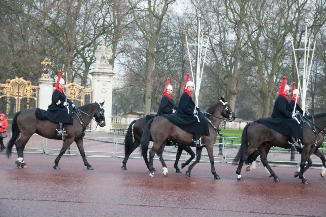 конная гвардия в Лондоне